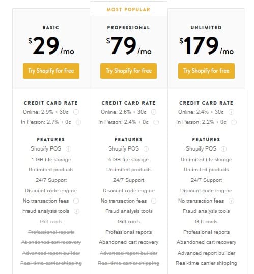 Passive Income Shopify Online Store