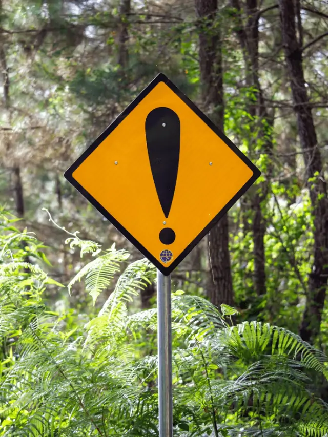 7 Warning Signs of a Personal Loan Scams Story Poster Image