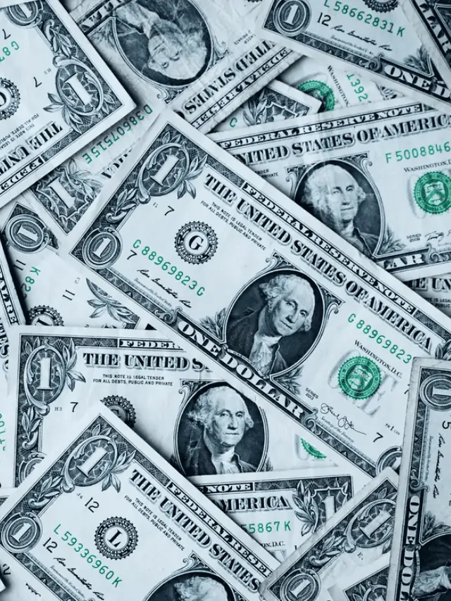 What are Assets and How Do They Make You Rich Story Poster Image