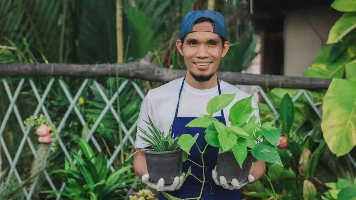 5 Steps To Make Money Selling Plants Finance Quick Fix