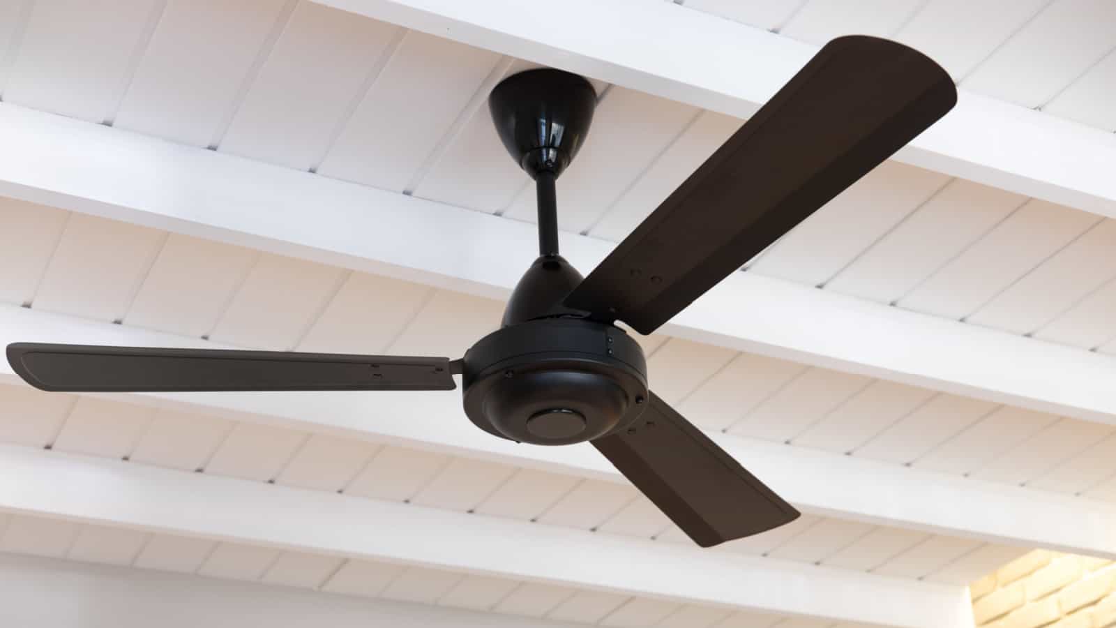 ceiling fan, fan