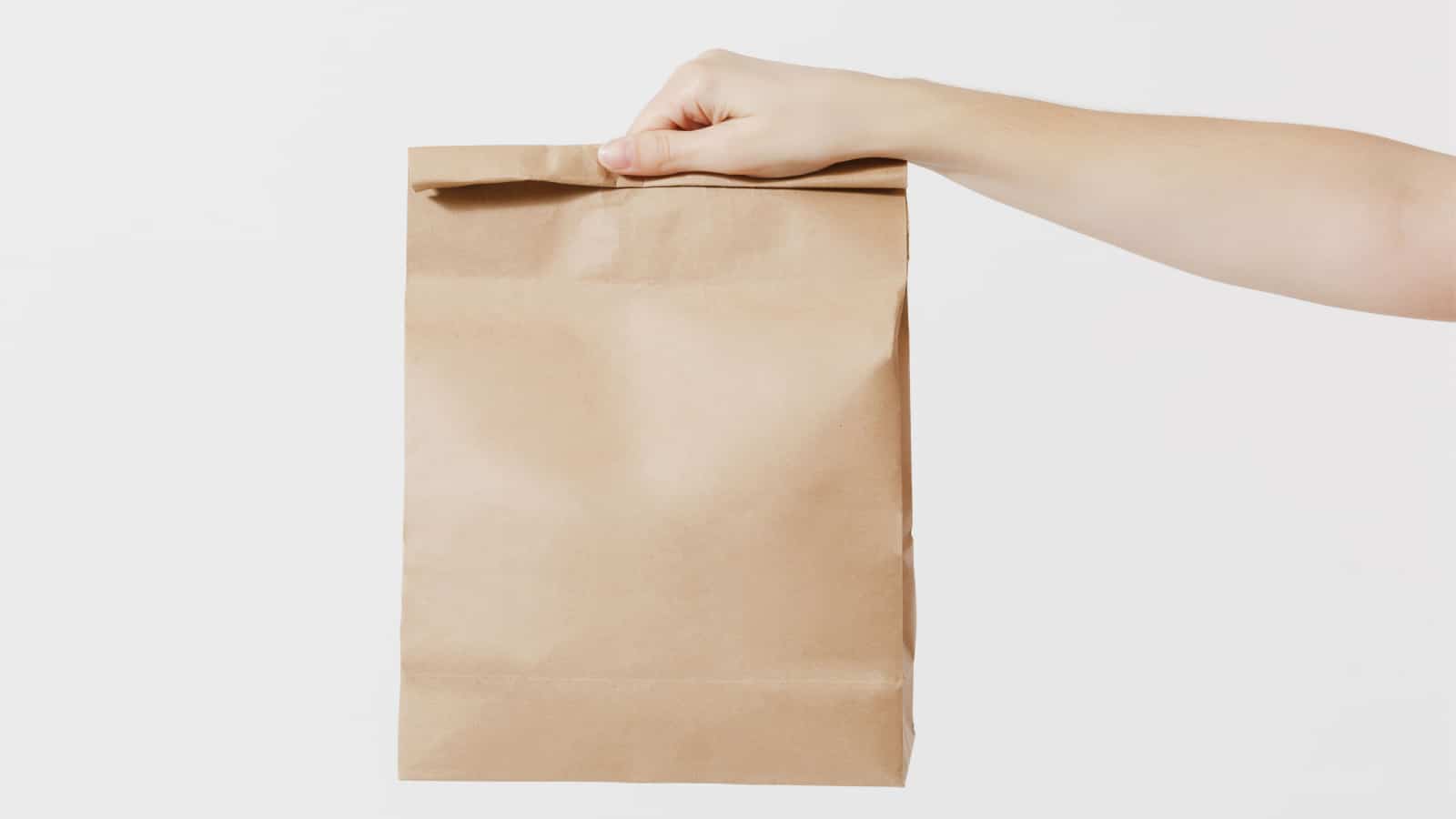 paper bag, bag, brown bag, paper