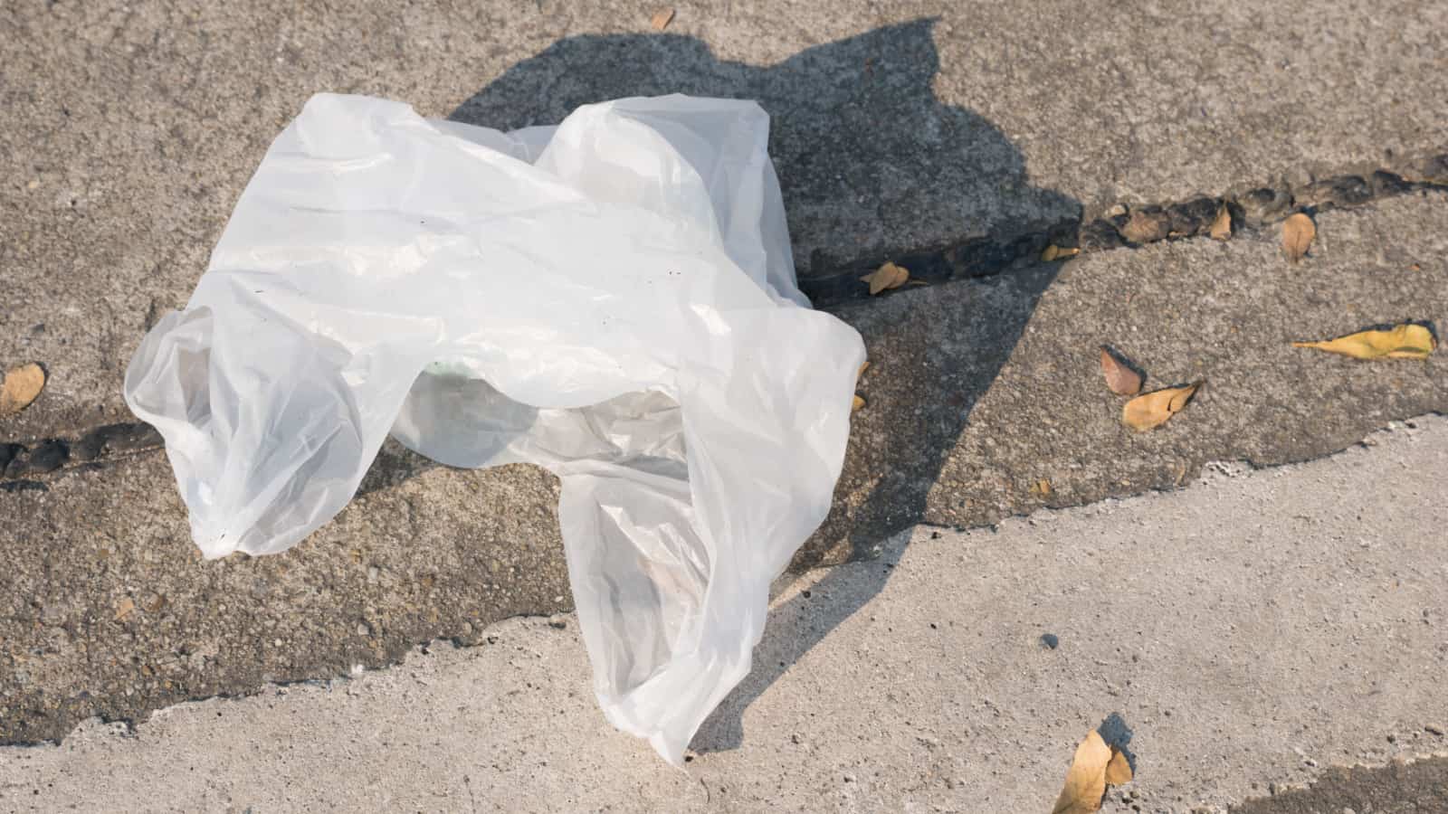 plastic bag, trash, littering,