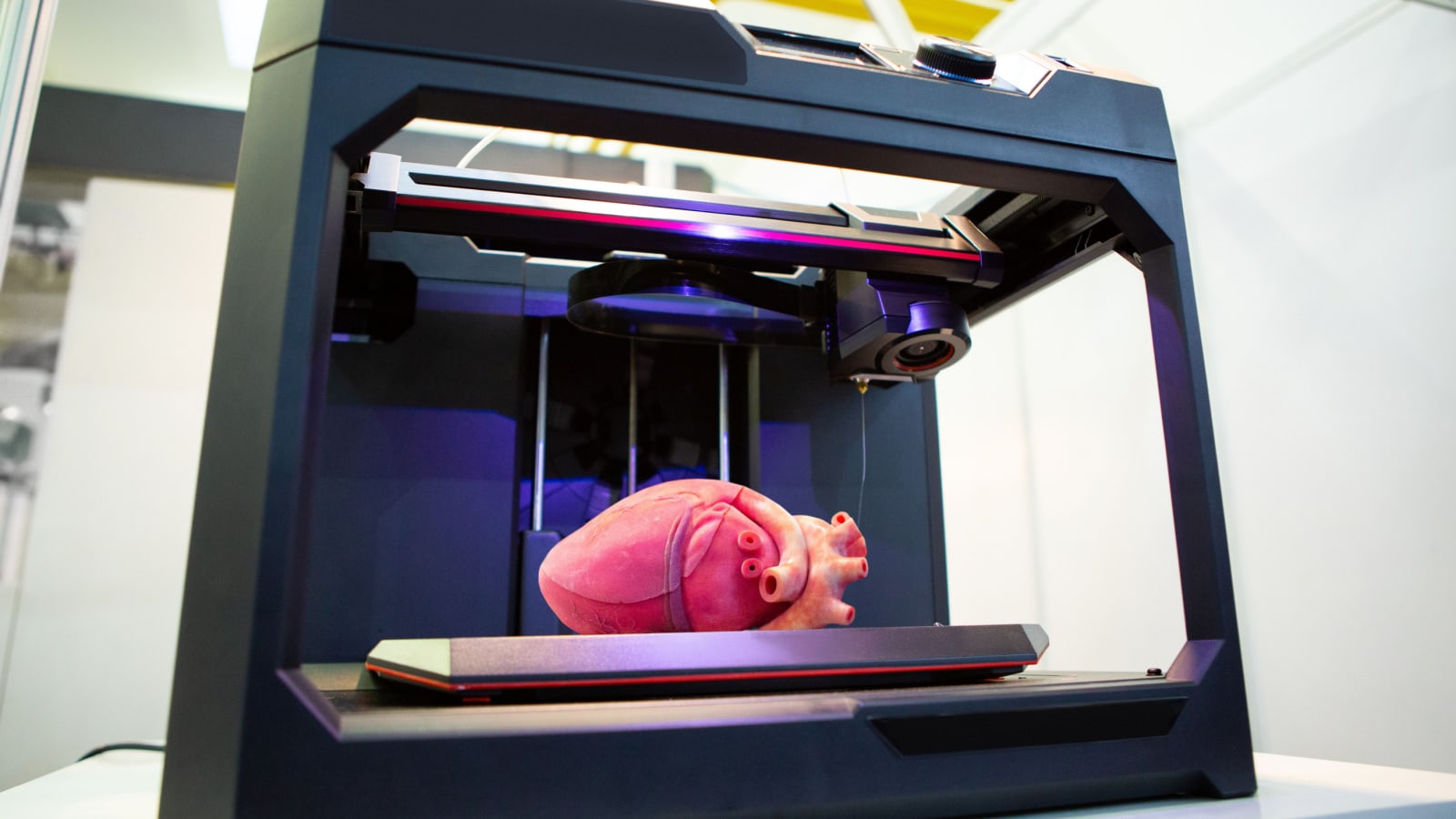 3d printed organ