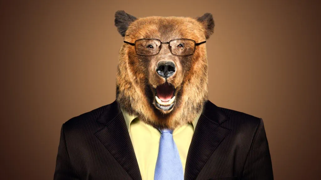 Big man bear