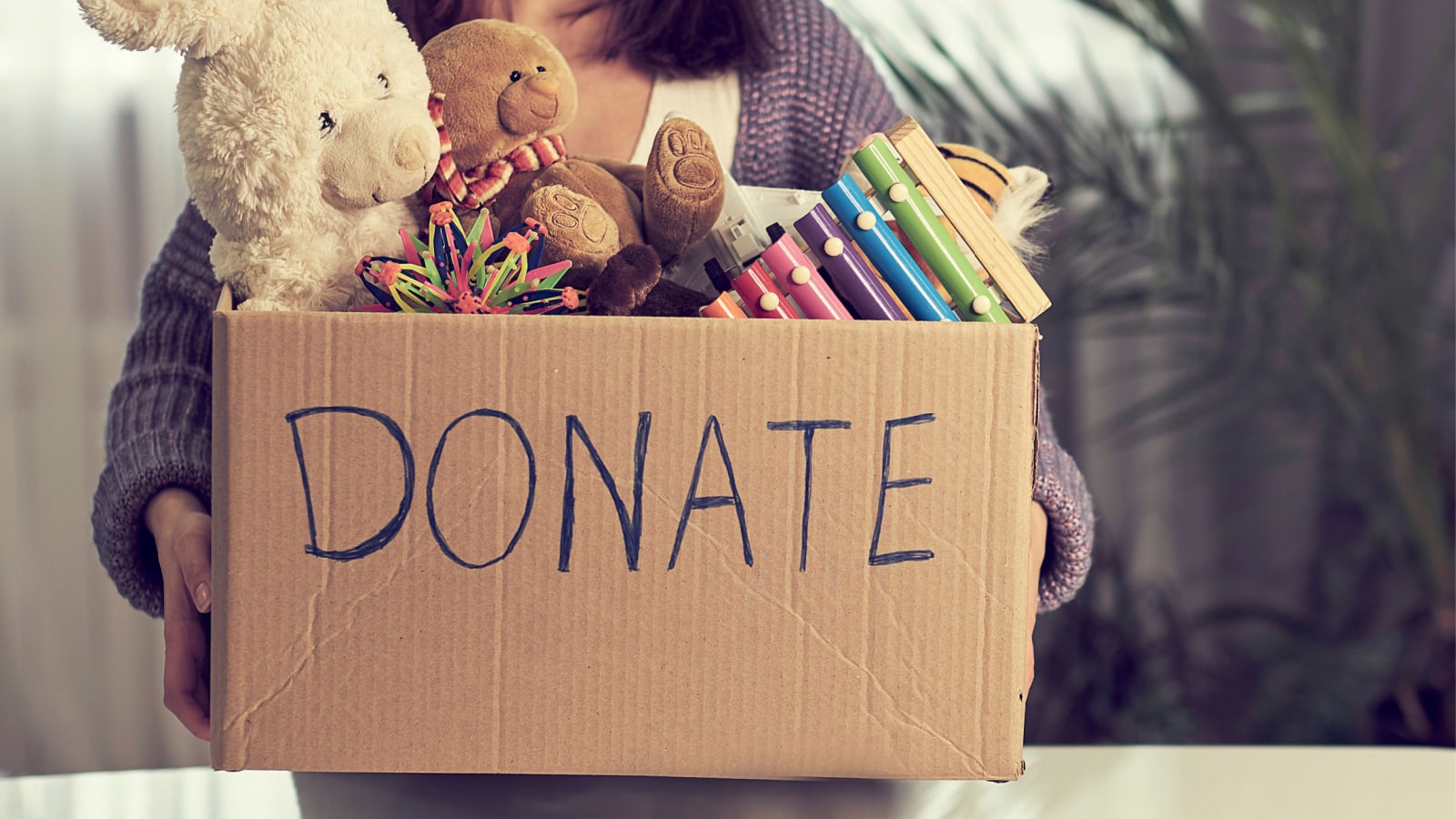 toy drive