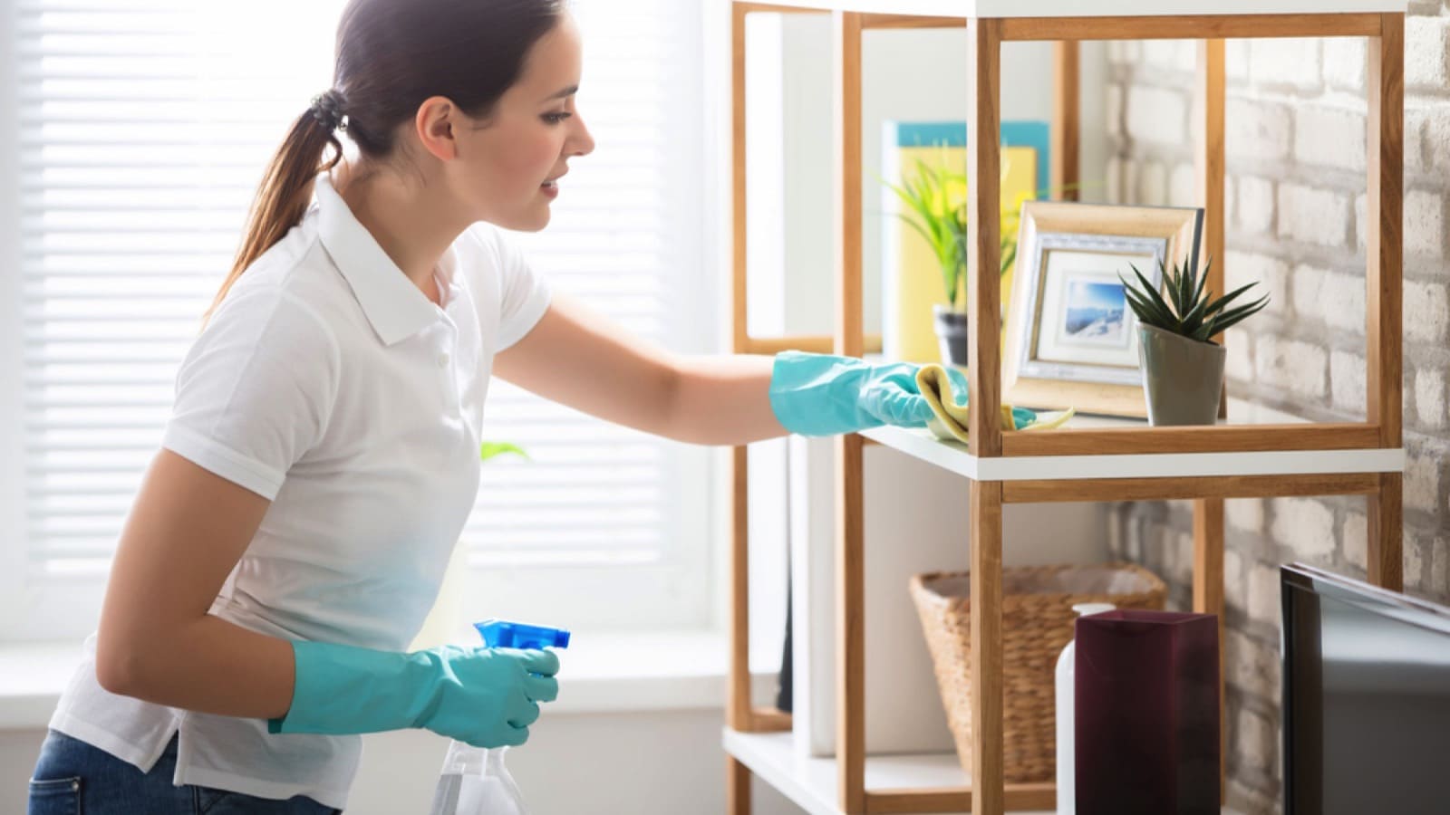Young Woman Cleaning The Wooden Shelf